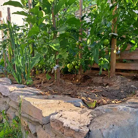 Village Stone House Dom wakacyjny *